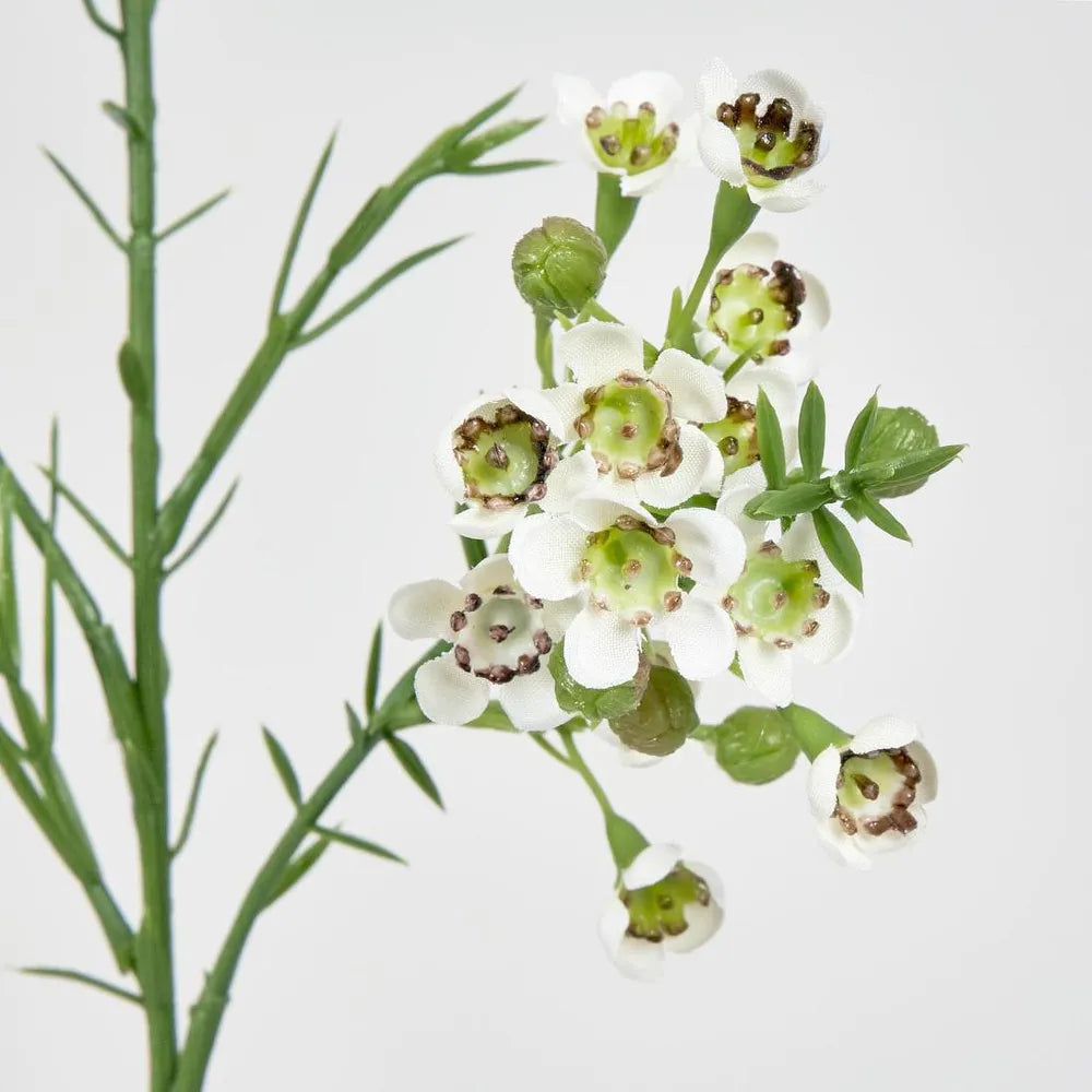 Arden Cream Blossom Stem
