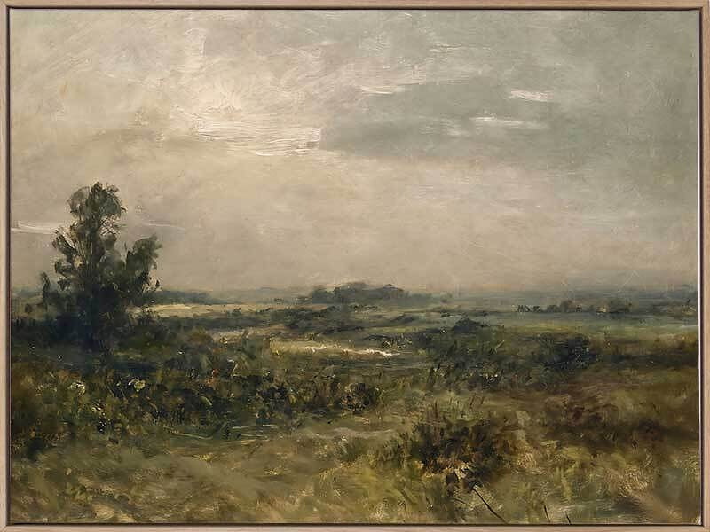 Australian Horizons Canvas Art Print