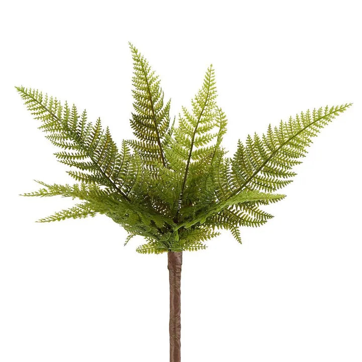 Isandro Native Fern