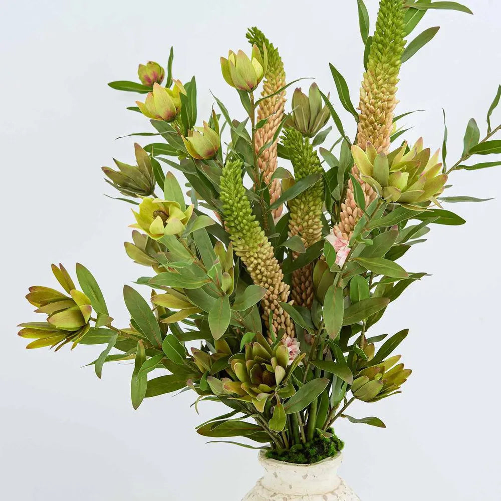 Leucadendron Spray