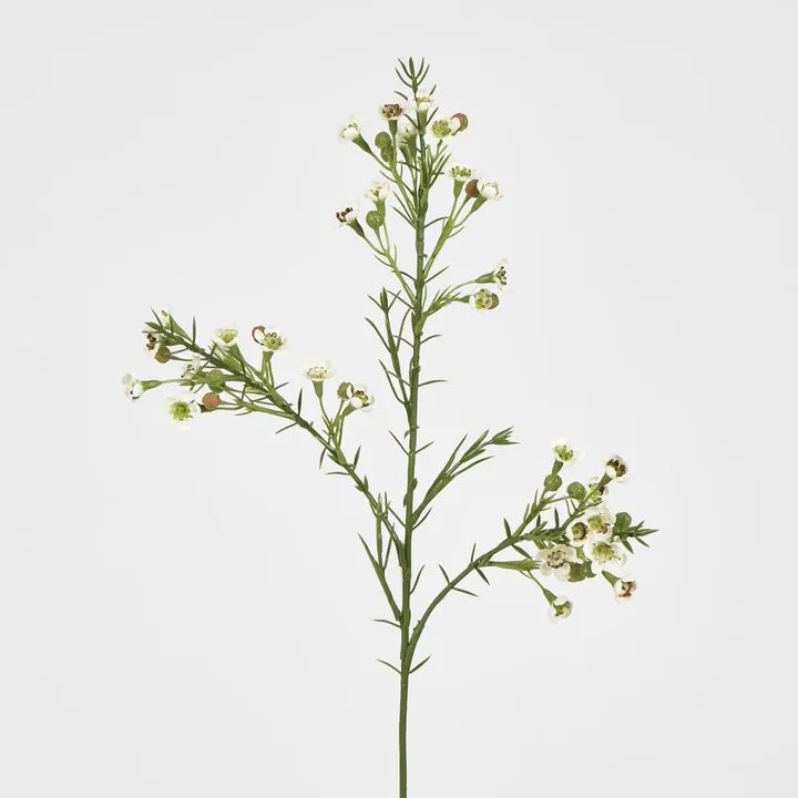 Arden Cream Blossom Stem