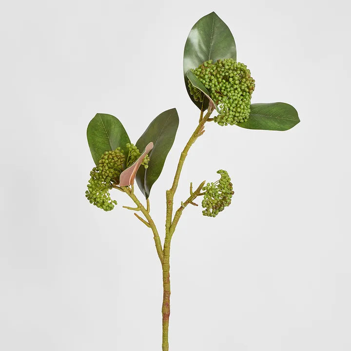 Magnolia Berry Spray