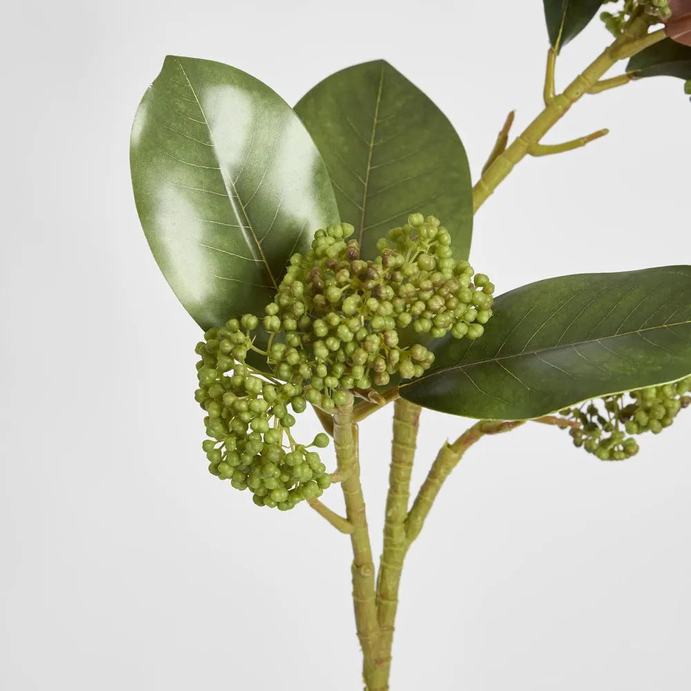 Magnolia Berry Spray